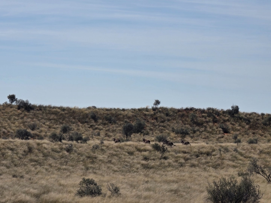 Commercial Property for Sale in Upington Rural Northern Cape